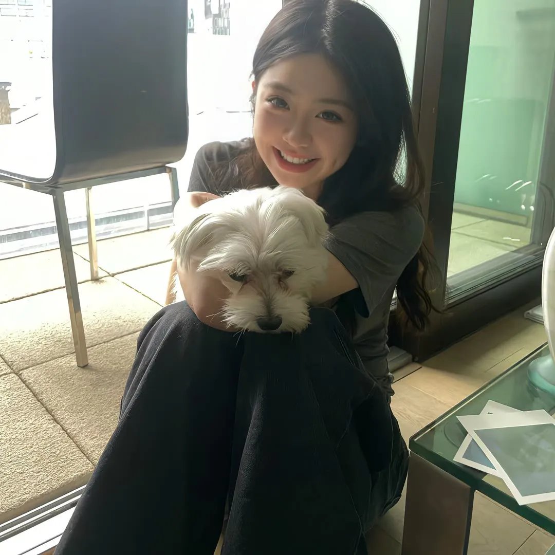 寅次郎的故事20：加油啊！寅次郎